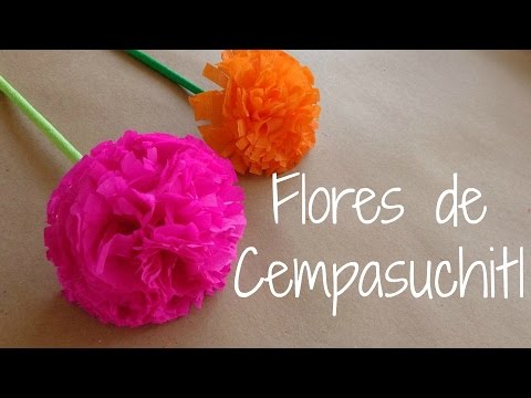 flor cempasuchitl